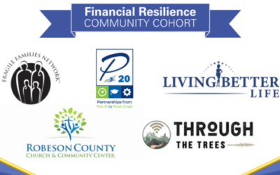 P20 Selected for IEI’s Financial Resilience Community Cohort