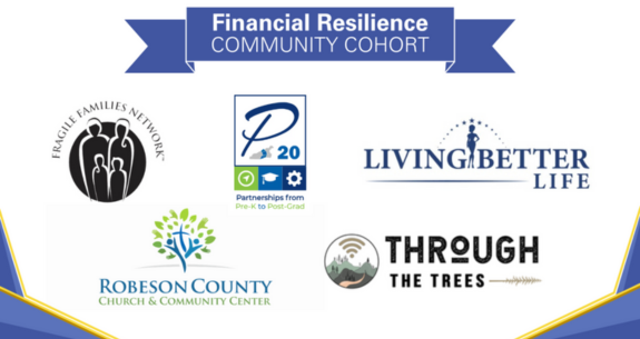 P20 Selected for IEI’s Financial Resilience Community Cohort